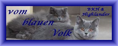 neues Banner 2