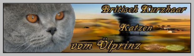 vom oelprinz